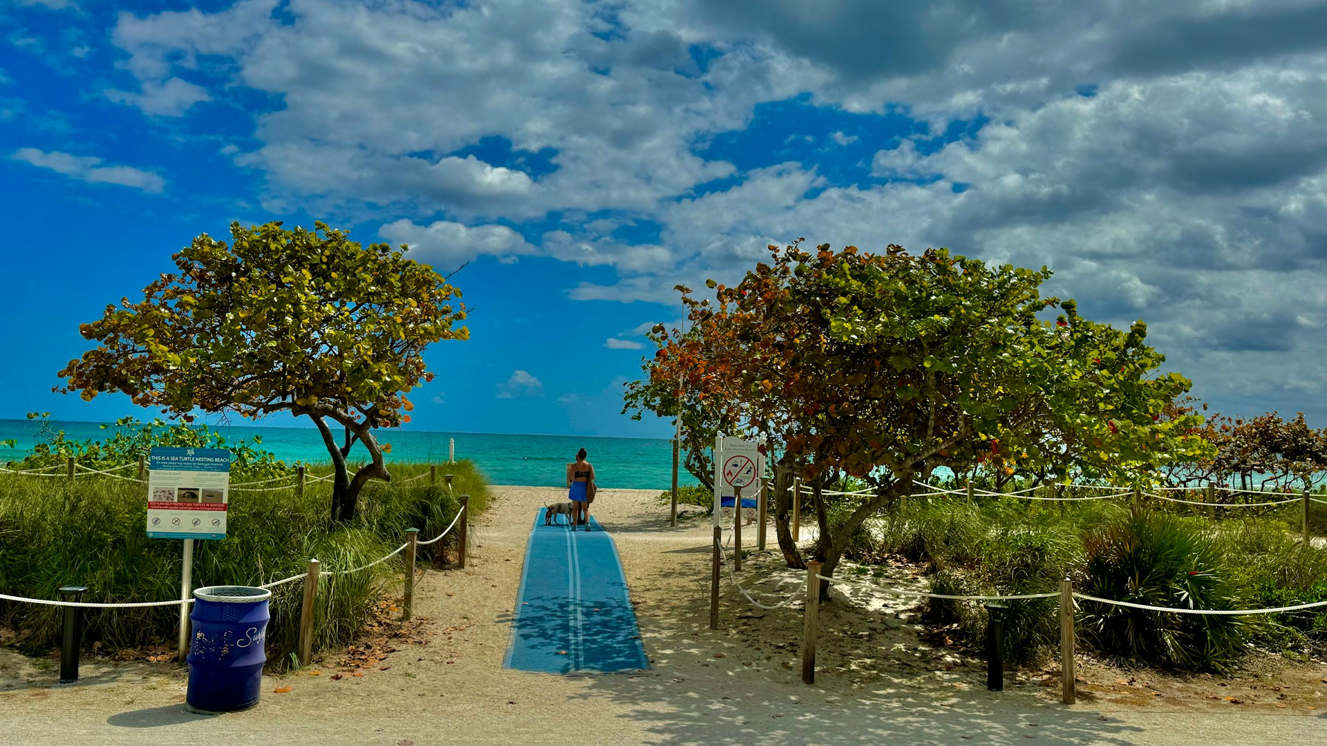 Autorondreis Florida