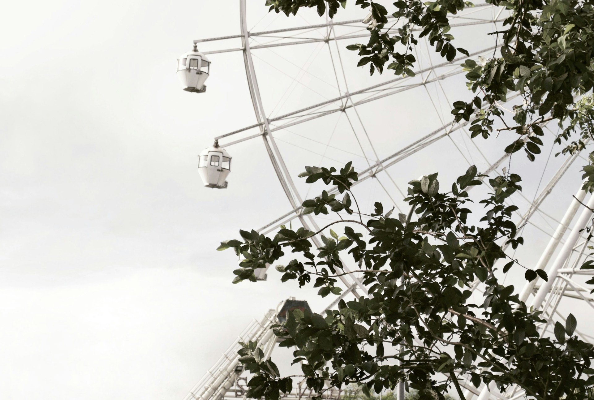 Europa Park arrangement