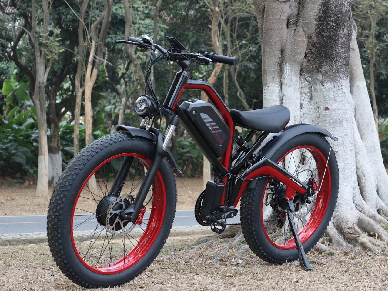 Daily Ride